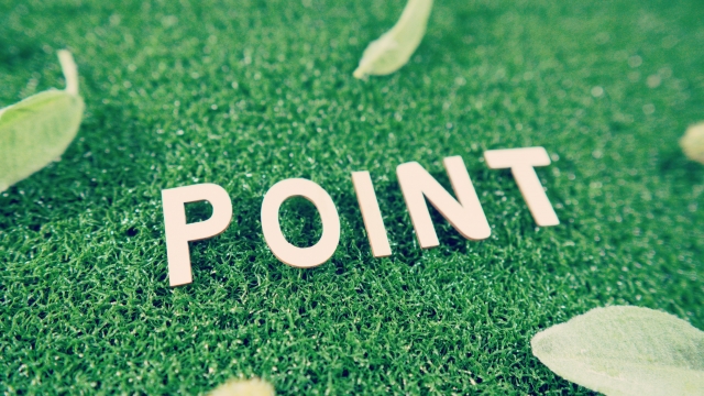 ポイント