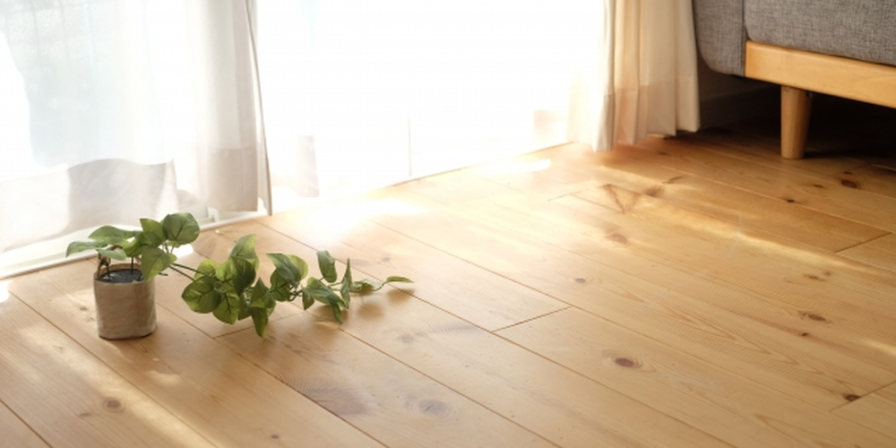 日差しが差し込む無垢材のフローリングと観葉植物、ナチュラルで温もりある室内空間