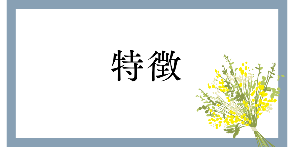白背景にミモザの花と「特徴」の文字が配置されたナチュラルなバナー画像