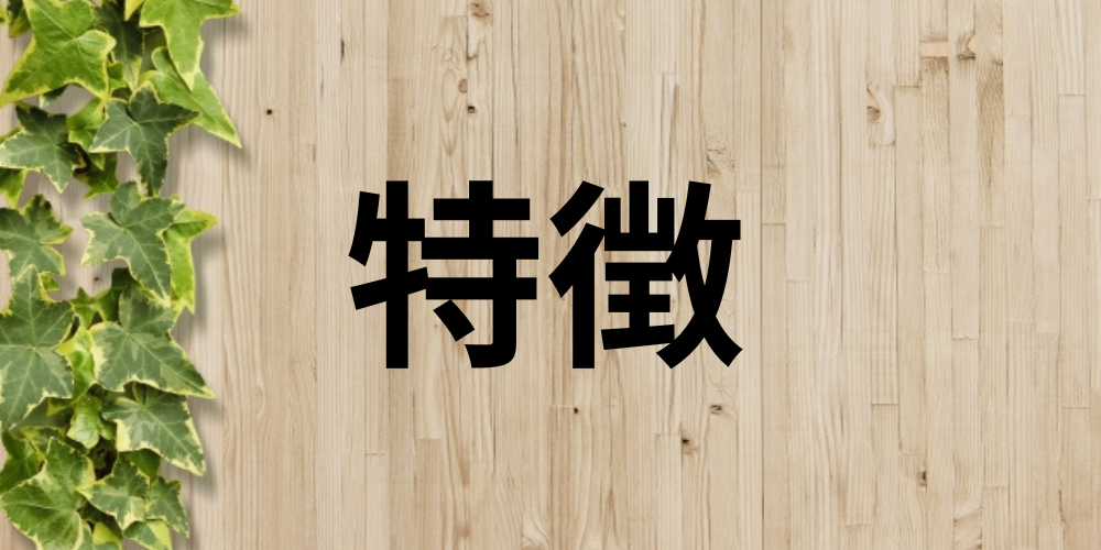 木目調の背景とアイビーに「特徴」の文字が際立つデザインバナー